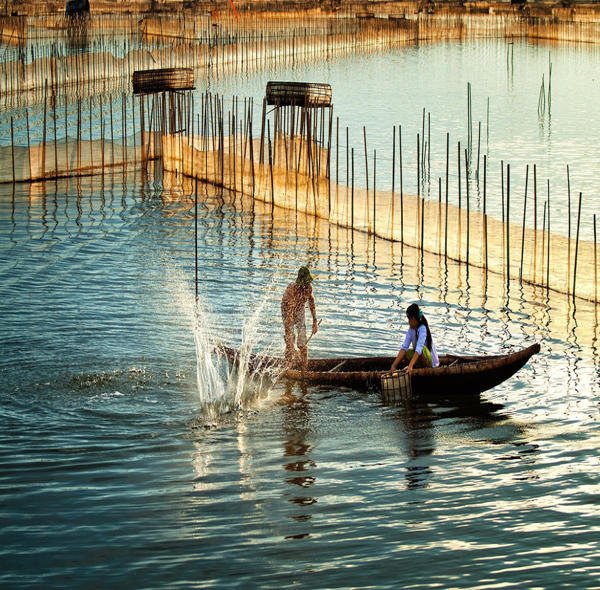 Biking Tour to Thanh Toan Bridge & Chuon Lagoon: A Hue Countryside Escape